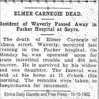 Carnegie, Elmer Elmira